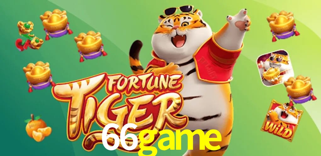 Experiência VIP 66game